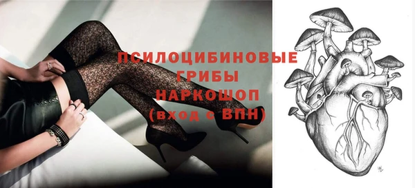 хмурый Абинск