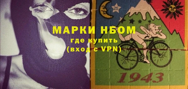 шишки Новозыбков