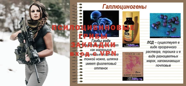 хмурый Абинск