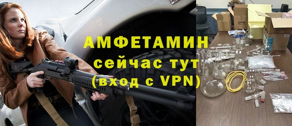 шишки Новозыбков