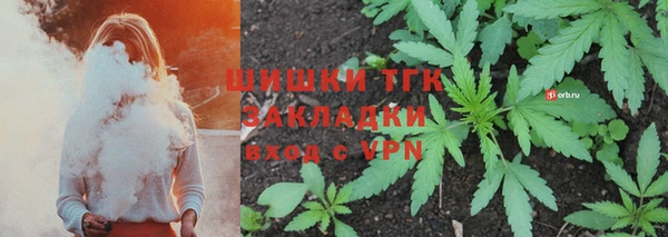 шишки Новозыбков