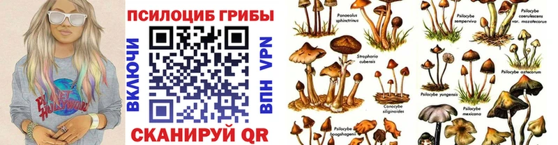 Галлюциногенные грибы Cubensis  Янаул 